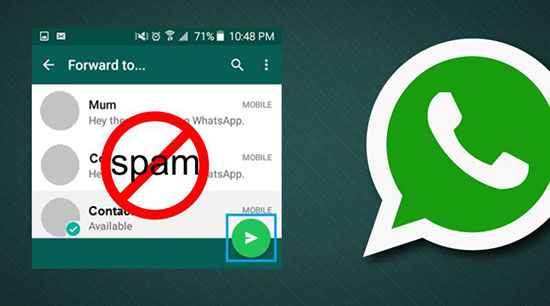 Что значит спам в WhatsApp и как его сделать