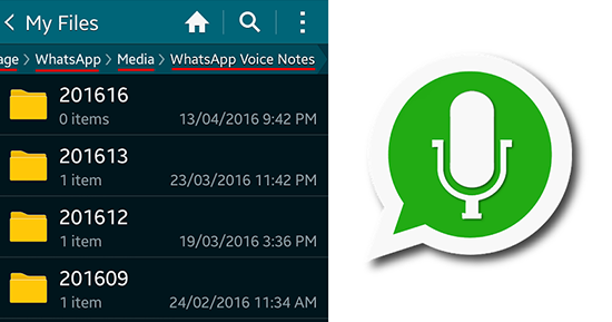 Что такое WhatsApp Voice Notes на телефоне